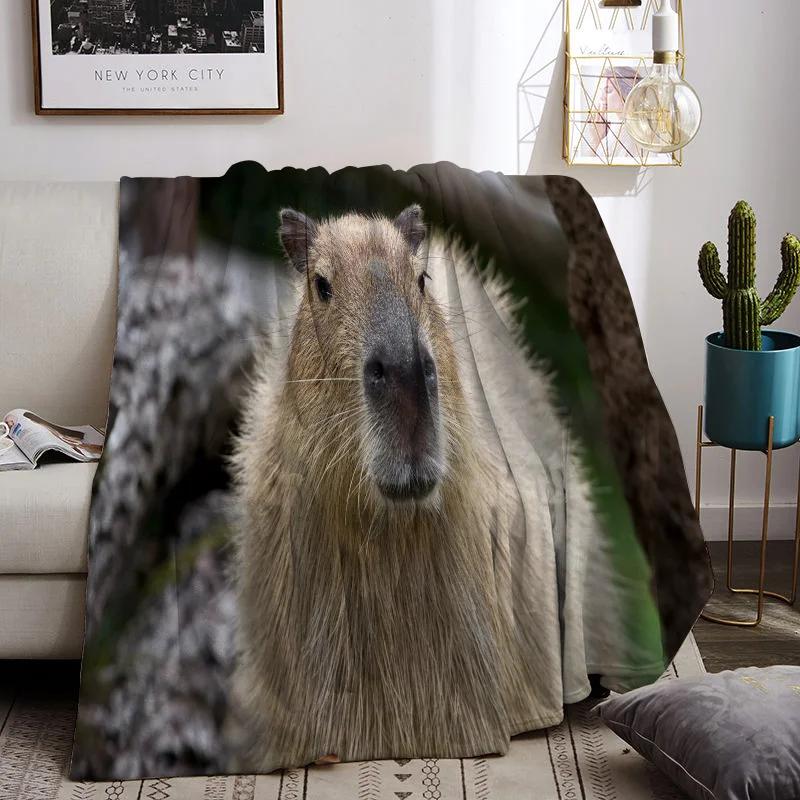 C-capybara  Ϳ  ,  ħ  ħ뺸, ǫϰ ε巯 , ȣ Ȩ 